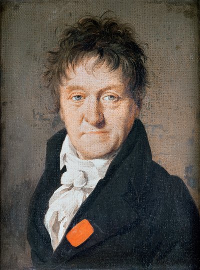 Portrait of Lazare Nicolas Marguerite Carnot by Louis Leopold Boilly